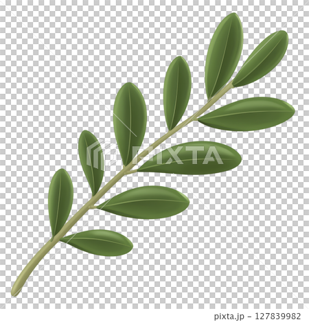 Green olive branch with smooth leaves symbolizes peace and harmony. branch is depicted with natural, realistic style, showcasing its vibrant green color and elongated leaves 127839982