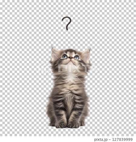 Curious fluffy kitten with striped fur looks up at question mark, conveying sense of wonder and playfulness. background is plain, highlighting kitten expression Curious fluffy kitten with striped fur looks up at question mark, conveying sense of wonder and playfulness. background is plain, highlighting kitten expression 127839999