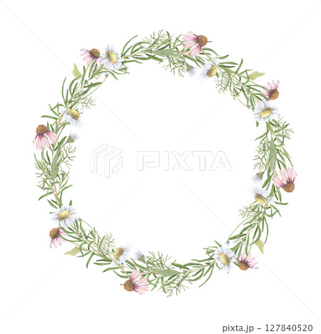 Watercolor frame of Echinacea and chamomile flowers,rosemary.Hand-drawn clip-art on white background. Delicate realistic images of herbs for packaging, textiles, printing, holiday cards,wedding,menu Watercolor frame of Echinacea and chamomile flowers,rosemary.Hand-drawn clip-art on white background. Delicate realistic images of herbs for packaging, textiles, printing, holiday cards,wedding,menu 127840520
