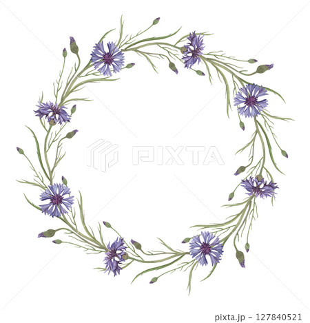 Watercolor frame of cornflower flower. Hand-drawn clip-art on white background. Delicate realistic images of Medicinal herbs for packaging, textiles, printing, holiday cards, wedding, menu Watercolor frame of cornflower flower. Hand-drawn clip-art on white background. Delicate realistic images of Medicinal herbs for packaging, textiles, printing, holiday cards, wedding, menu 127840521