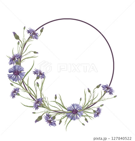 Watercolor frame of cornflower flower. Hand-drawn clip-art on white background. Delicate realistic images of Medicinal herbs for packaging, textiles, printing, holiday cards, wedding, menu 127840522