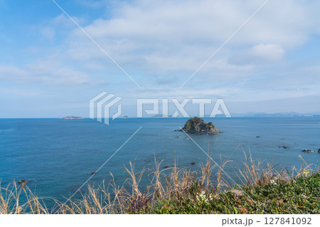 長崎ものざき恐竜パークから望む軍艦島 127841092