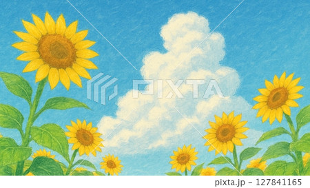 夏のひまわり畑と青空の手描き風イラスト素材（テキストスペースあり） 127841165