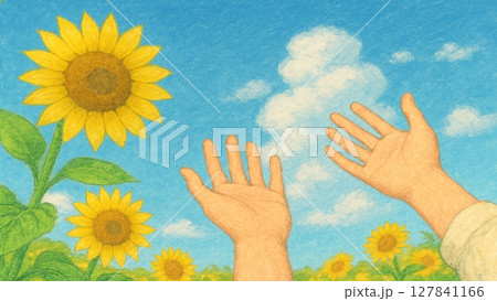 夏のひまわり畑と青空の手描き風イラスト素材（テキストスペースあり） 127841166
