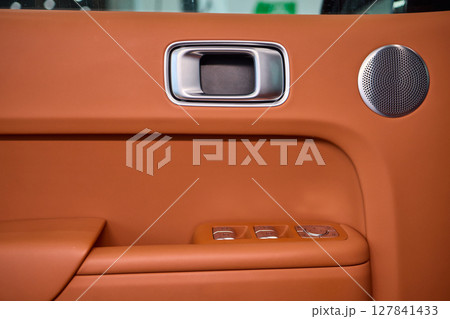 A car door with trim showcasing automotive design details 127841433