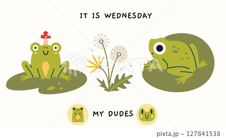 Cute frogs, dandelions, and humorous phrase - It is Wednesday my dudes. Trendy modern vector illustration isolated on light background, hand drawn, flat design 127841538