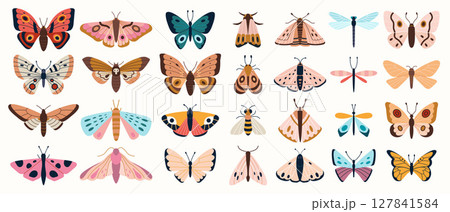 Big set of various colorful butterflies, moths and dragonflies. Cute flying insects collection. Trendy modern vector illustration isolated on white background, hand drawn, flat design Big set of various colorful butterflies, moths and dragonflies. Cute flying insects collection. Trendy modern vector illustration isolated on white background, hand drawn, flat design 127841584