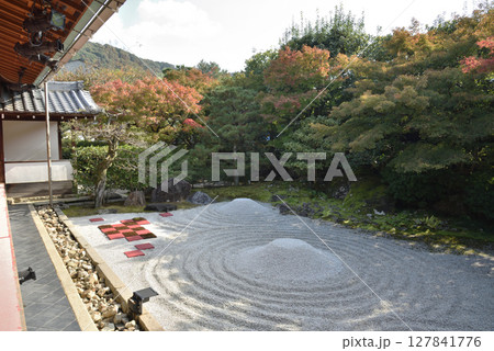 秋の圓徳院 方丈から見る南庭(京都市東山区) 秋の圓徳院 方丈から見る南庭(京都市東山区) 127841776