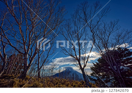 毛無山稜線・高デッキから見る朝の富士山 毛無山稜線・高デッキから見る朝の富士山 127842070