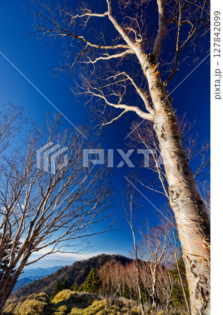 高デッキから見る毛無山への稜線 127842099