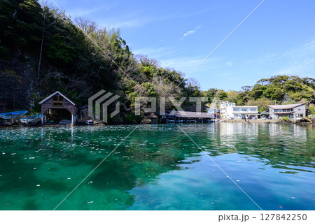 矢島径島 矢島径島 127842250