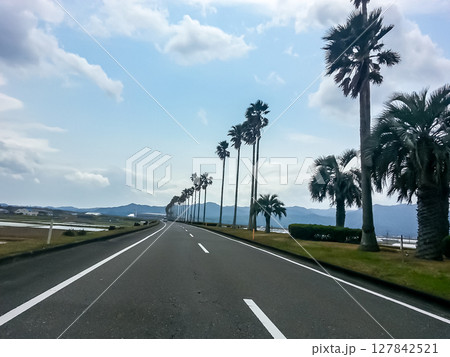 宮崎空港へ続く直線道路 127842521