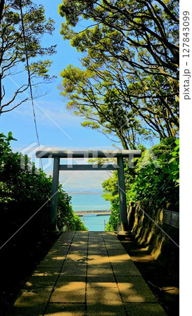 青空と海が見える神社の鳥居 127843099