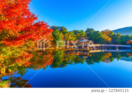 古都奈良 浮見堂の紅葉 古都奈良 浮見堂の紅葉 127843115