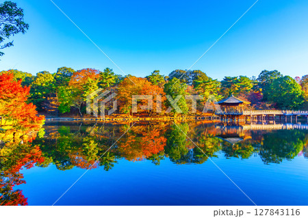 古都奈良 浮見堂の紅葉 古都奈良 浮見堂の紅葉 127843116