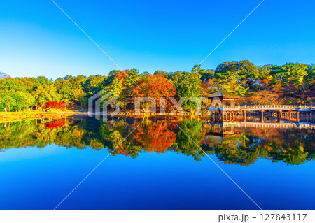 古都奈良 浮見堂の紅葉 127843117