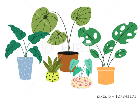 2584_plant_set1 2584_plant_set1 127843173