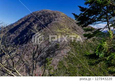 端足峠付近から見る竜ヶ岳 127843220