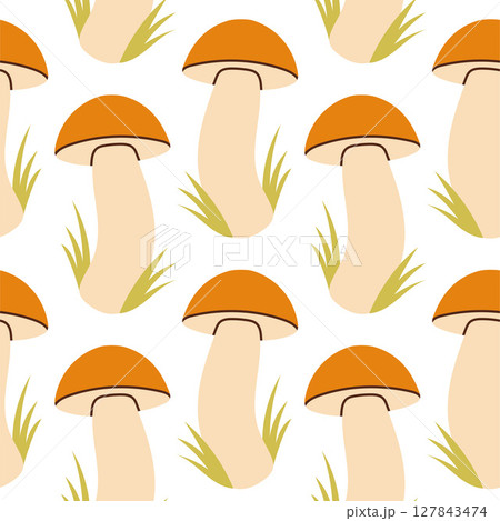 Mushrooms seamless pattern. Autumn isolated mushrooms on white background. Square repeat pattern flat design for fall season. 127843474