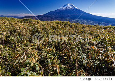 竜ヶ岳から見る初冬の富士山 127843514