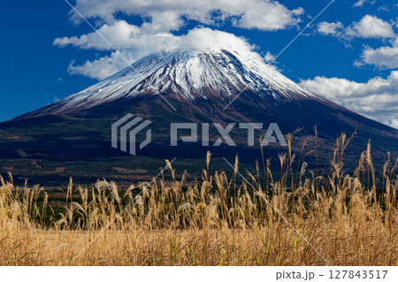 晩秋の朝霧高原のススキと富士山 127843517