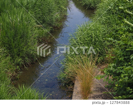 川のある風景写真 127843888