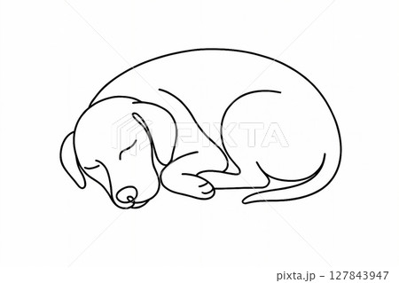 丸くなって眠る子犬のやさしい線画イラスト 127843947