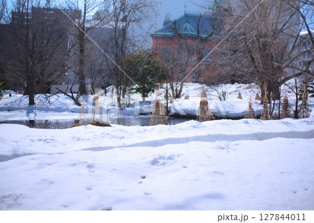 雪景色の旧北海道庁赤れんが庁舎と冬囲いされた庭園 雪景色の旧北海道庁赤れんが庁舎と冬囲いされた庭園 127844011