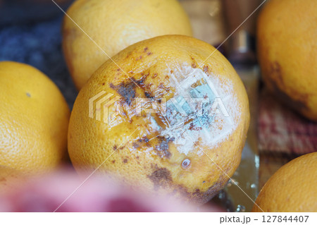 Close-Up of a Spoiled Lemon Showing Mold and Decay on Surface 127844407