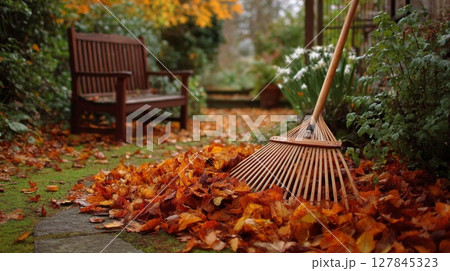 Raking Autumn Leaves in a Garden 127845323