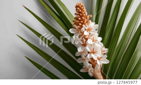 White Tropical Flower with Green Palm Leaves on Gray Background 127845977