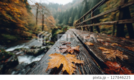 Autumn Leaves on Wet Wooden Bridge Over River in Forest 127846225