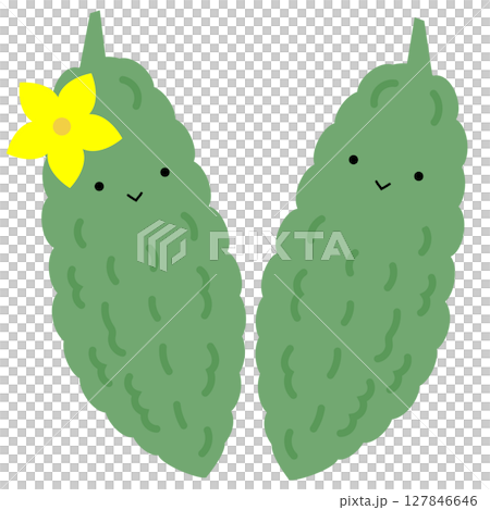 Cute bitter melon character summer vegetable vector illustration Cute bitter melon character summer vegetable vector illustration 127846646