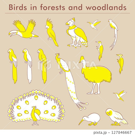 森の鳥の手描きイラストセット 127846667