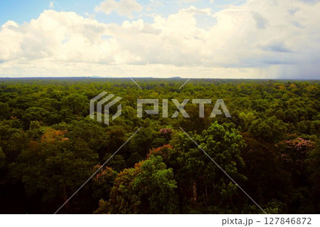 コー・ケー遺跡からの眺望 カンボジア 1 コー・ケー遺跡からの眺望 カンボジア 1 127846872