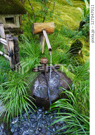 祇王寺の庭園の蹲 127847011
