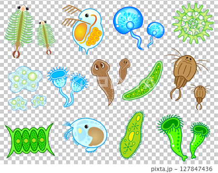 かわいい微生物とプランクトンのイラスト素材セット 127847436
