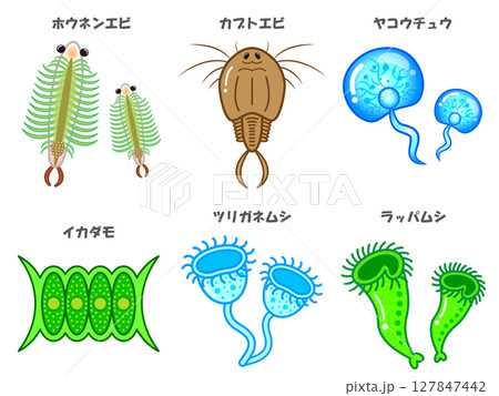 かわいい微生物とプランクトンの一覧イラスト素材セット かわいい微生物とプランクトンの一覧イラスト素材セット 127847442
