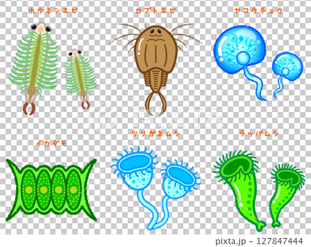 可愛的微生物和浮游生物列表插圖素材集2 127847444