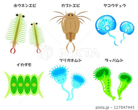 かわいい微生物とプランクトンの一覧イラスト素材セット3 127847445