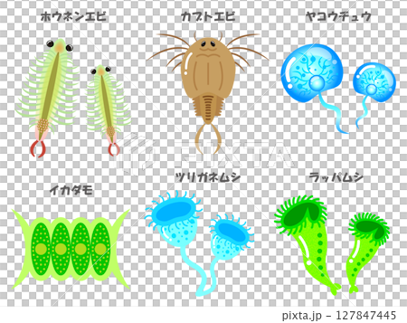 かわいい微生物とプランクトンの一覧イラスト素材セット3 127847445