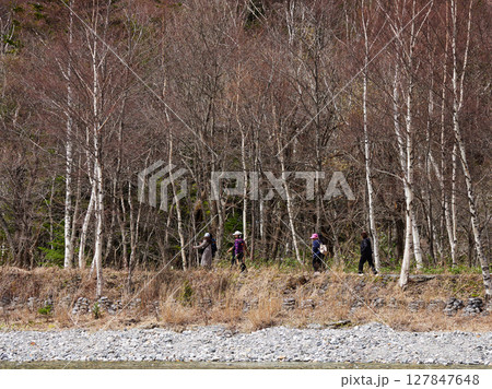 春の観光名所上高地の梓川沿岸で歩く観光客の姿 127847648