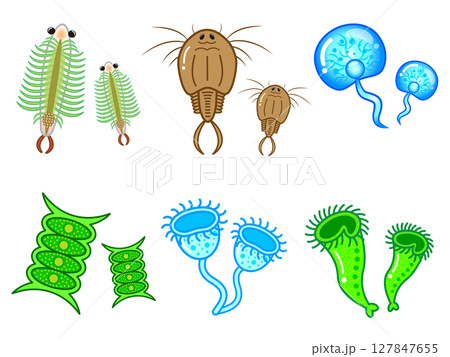 かわいい微生物とプランクトンの一覧イラスト素材セット4 かわいい微生物とプランクトンの一覧イラスト素材セット4 127847655
