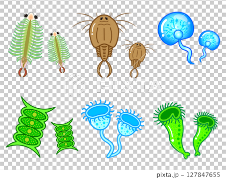 かわいい微生物とプランクトンの一覧イラスト素材セット4 かわいい微生物とプランクトンの一覧イラスト素材セット4 127847655