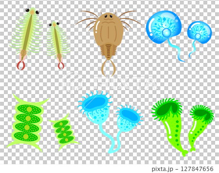 かわいい微生物とプランクトンの一覧イラスト素材セット5 127847656