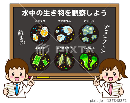 黒板で微生物とプランクトンの授業をする小学生のイラスト素材 黒板で微生物とプランクトンの授業をする小学生のイラスト素材 127848271