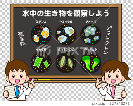 黒板で微生物とプランクトンの授業をする小学生のイラスト素材 黒板で微生物とプランクトンの授業をする小学生のイラスト素材 127848271