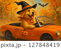 ハロウィンを楽しんでいる犬 127848419