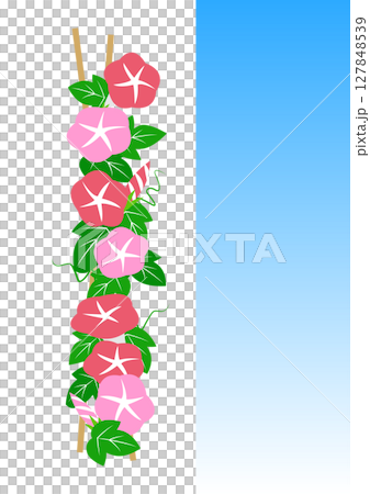簡單的牽牛花裝飾插畫素材 簡單的牽牛花裝飾插畫素材 127848539
