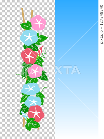 簡單的牽牛花裝飾插畫素材 127848540